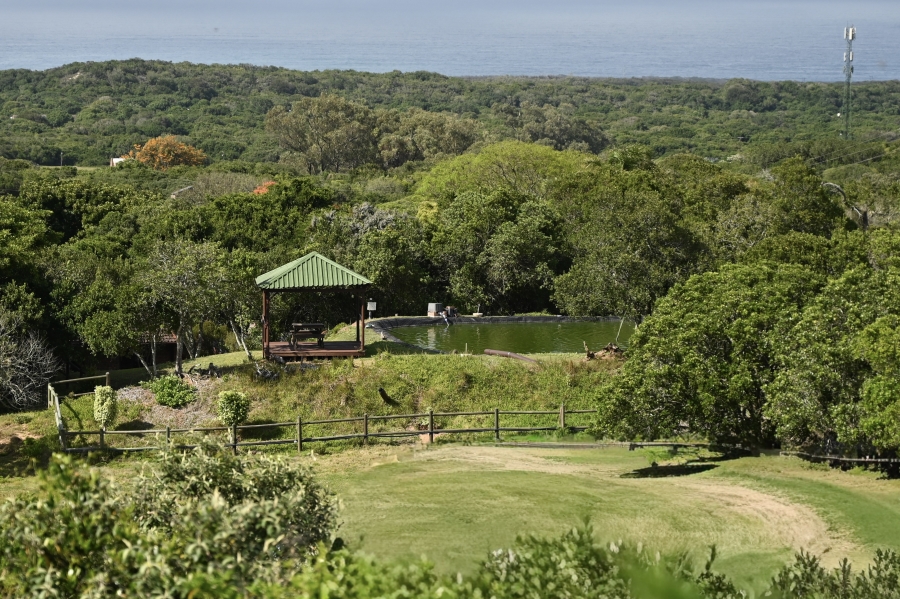 3 Bedroom Property for Sale in Lovemore Park Eastern Cape